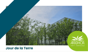 innovation colorants naturels végétaux
