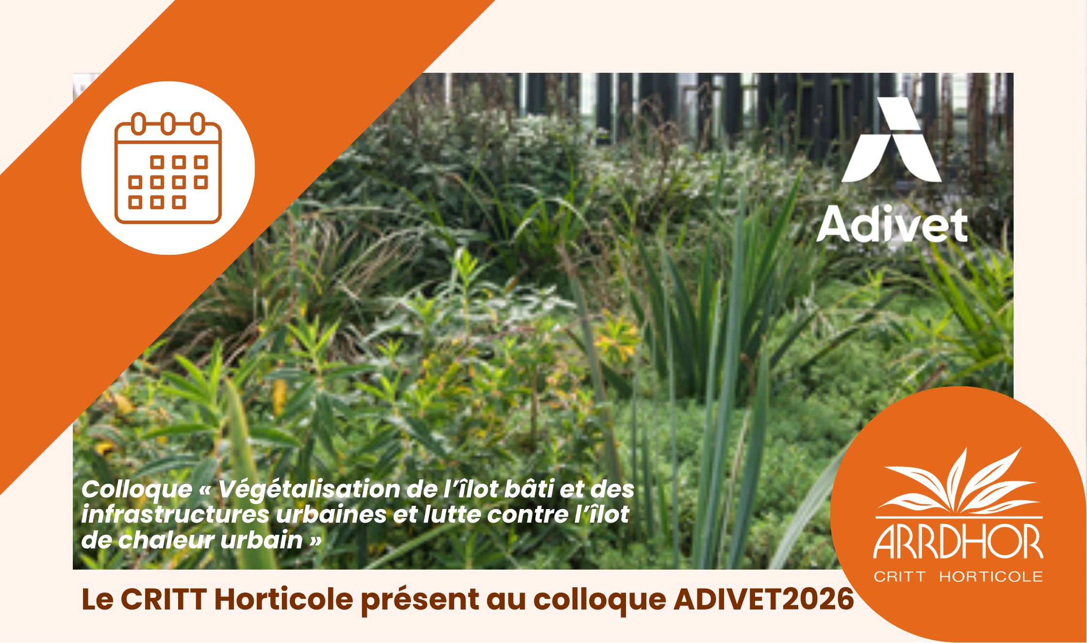 Colloque ADIVET 2026